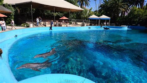 lv dolphin|secret garden and dolphin habitat.